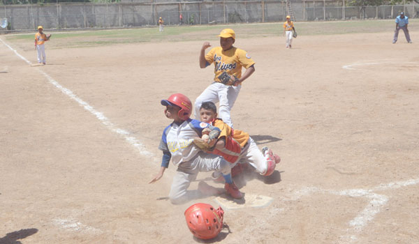 Los Olivos se proclama campeón en la categoría Pre-Infantil del béisbol menor
