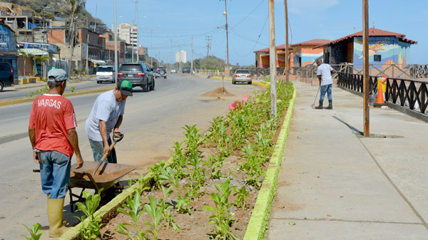 Gobernación siembra 800 plantas en Playa Verde