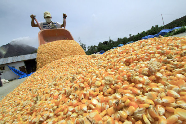 Agropatria con 30% de insumos en inventario para siembras de maíz y arroz