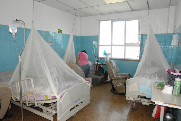 Repuntan casos de dengue en pacientes pediátricos