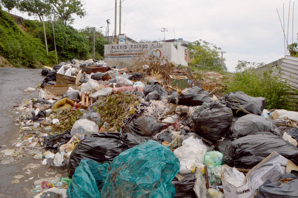 Más de 15 días sin recoger la basura en Valle del Pino