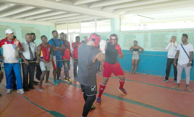 Preparación de boxeo en Cuba vía preolímpico en su recta final