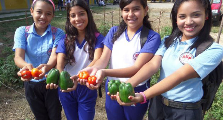 Escuelas de Vargas se incorporan a la producción de alimentos