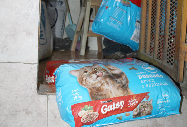 Apareció la gatarina en el mercado de Maiquetía