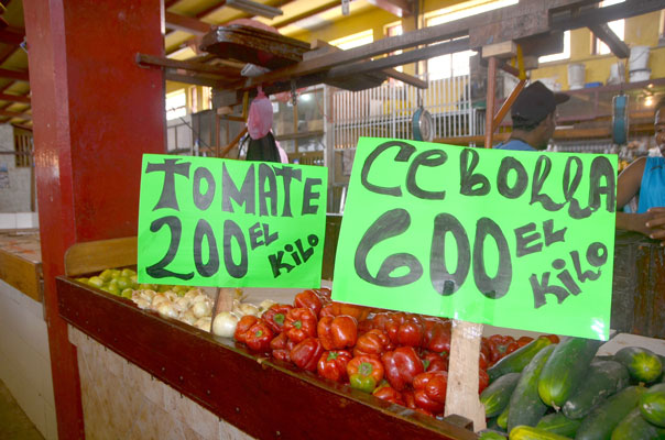 El Mercado de Maiquetía tiene tomate en abundancia a Bs. 200