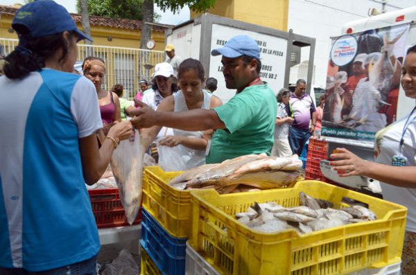 Hoy venderán pescado barato en plaza Los Maestros