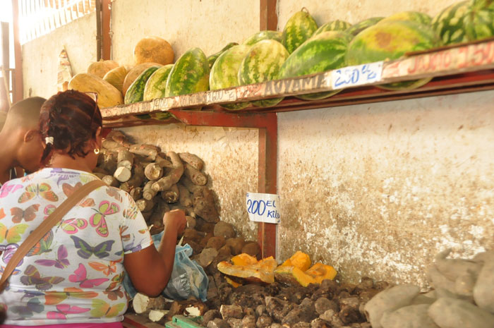 Mercado negro de semillas encarecen verduras y hortalizas