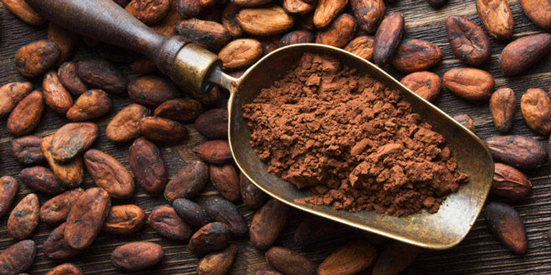 Fundatierra llevará el chocolate venezolano a México