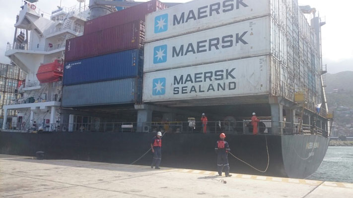 Llegan 300 contenedores con alimentos y medicinas al puerto de La Guaira