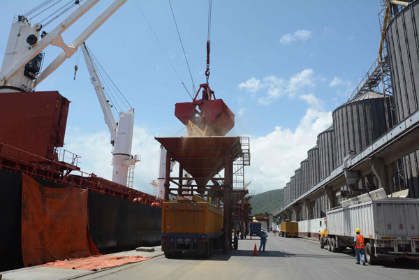 Arriban al país 15 mil toneladas de trigo panadero al Puerto de La Guaira