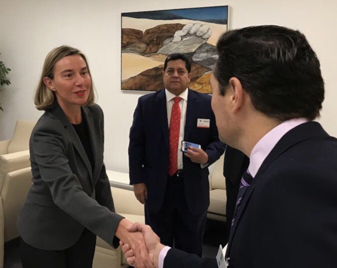 Mogherini: Nadie de la UE irá el 20 de mayo a Venezuela