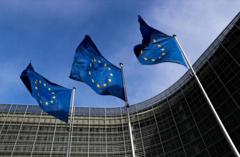 Dan 72 horas a la Embajadora  de la Unión Europea  en Caracas para abandonar el país