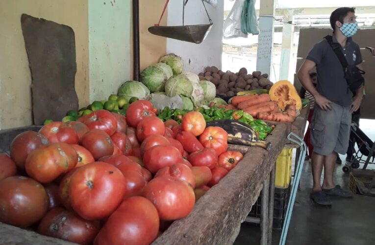 Altos precios del Mercado de Coche afectan a vendedores de aliño de Naiguatá