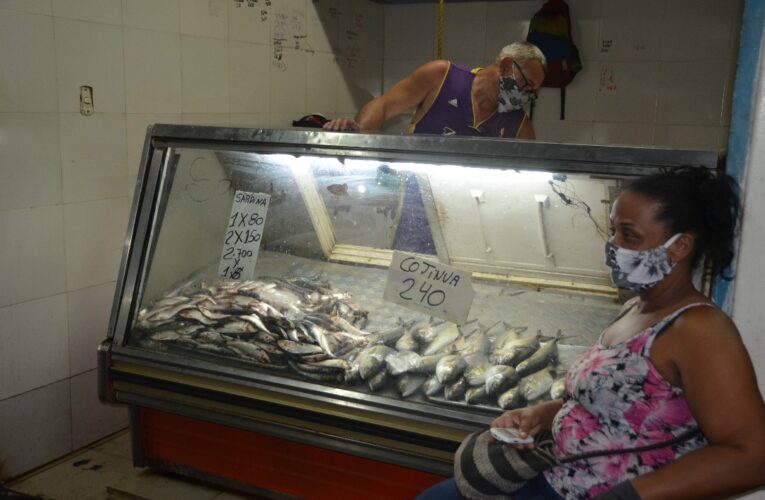 La sardina se vende 10  veces más que otras especies