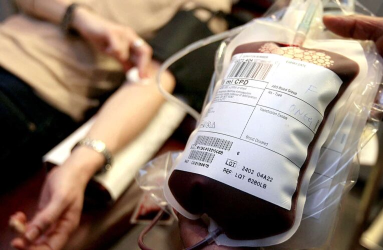 «La gente no quiere donar sangre por miedo al Covid-19»