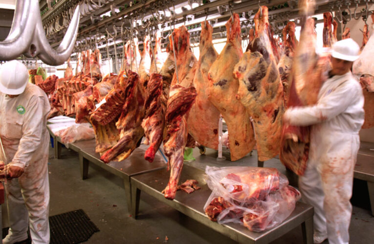 Confagan alerta que disminuyó en 50% la producción de carne