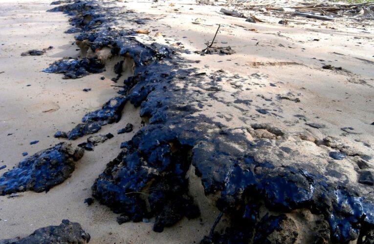 Daños por derrame petrolero en Morrocoy podrían ser irreversibles