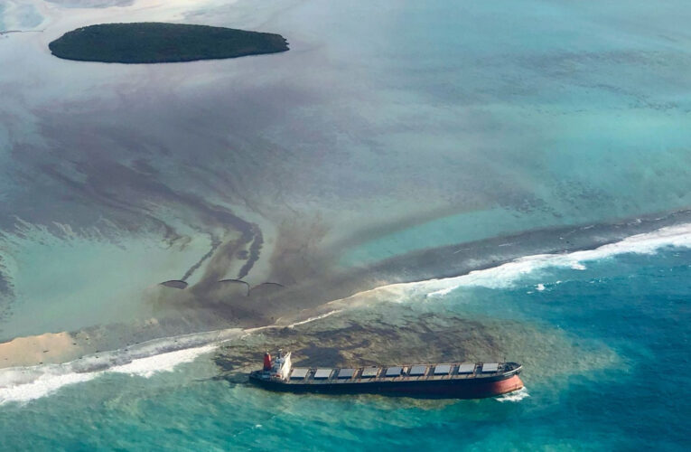 Con medias y pelo recogen derrame petrolero en Mauricio