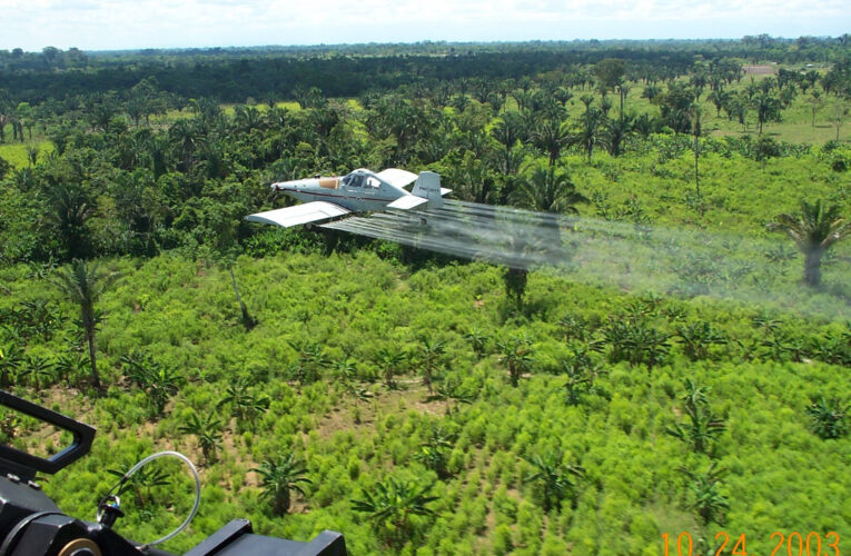 Gobierno colombiano quiere reactivar fumigación sobre siembras de coca
