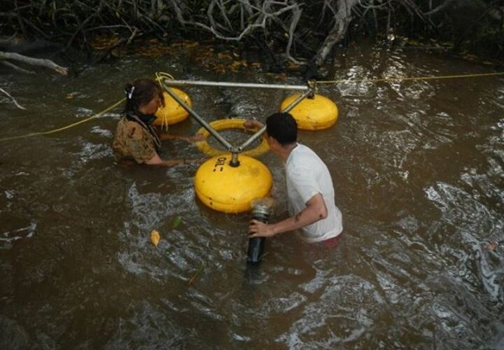 Instalan equipo desnatador en Morrocoy para acelerar limpieza del mangle