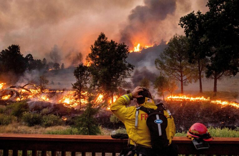 Incendios en California han arrasado con 800.000 hectáreas