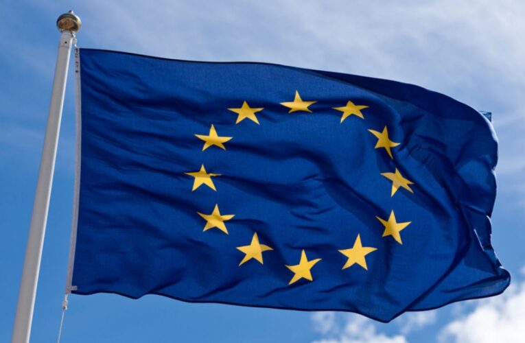 UE rechaza ser observador internacional en elecciones del 6D