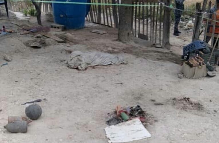 Dos niños murieron tras explotar una granada