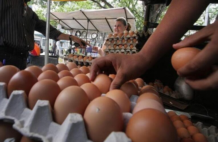 Peligra distribución de huevos por la escasez de gasolina