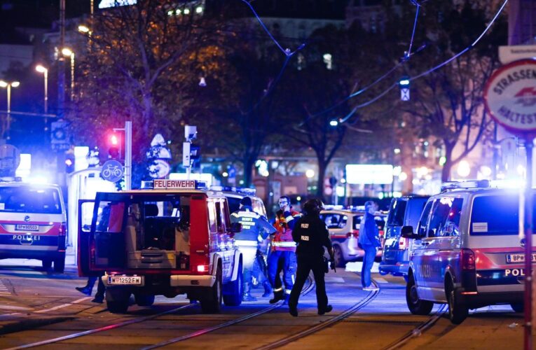 5 muertos y 18 heridos en ataque terrorista en Viena