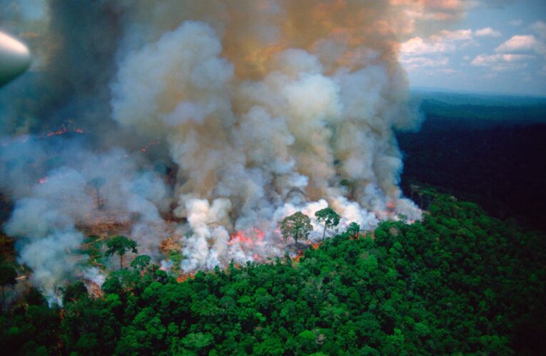 Bolsonaro se compromete ante el G20 a preservar la Amazonía