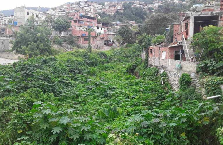 Quebrada de Guanape saturada de maleza y escombros