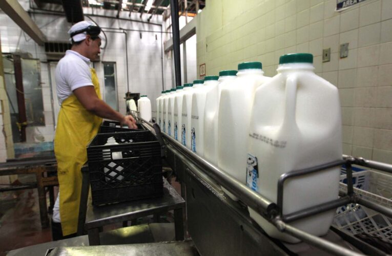 Cavilac: Producción láctea está a un 20% de su capacidad