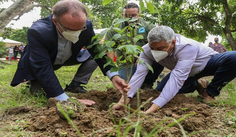Turquía apoyará plantación de dos mil árboles en el Ávila