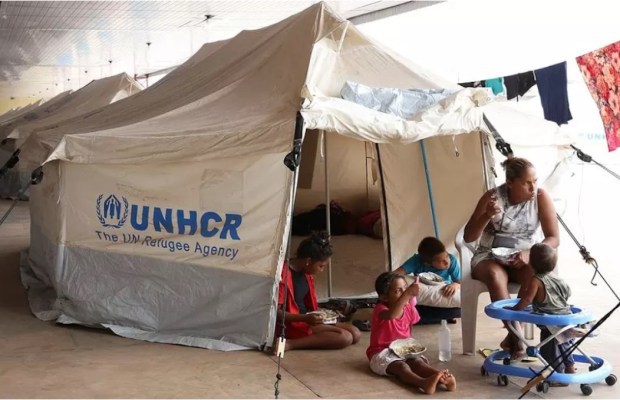 ONU: Cifra de refugiados y desplazados supera los 80 millones