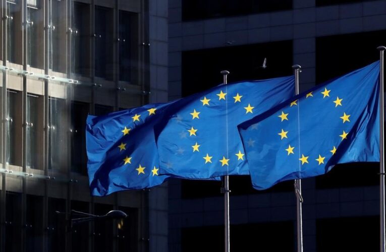 UE aprueba sistema de sanciones contra violadores de DDHH