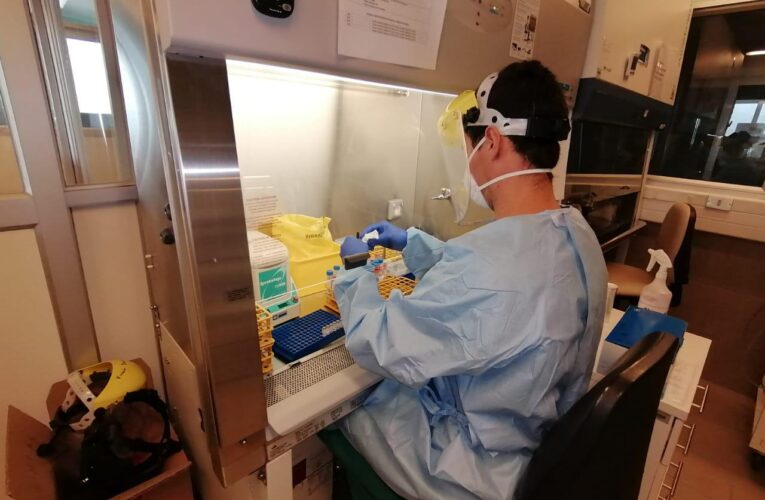 Bioanalistas insisten en aumentar pruebas PCR