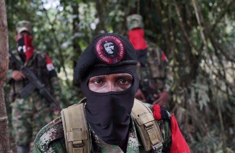 Colombia: En Venezuela hay 1.400 guerrilleros