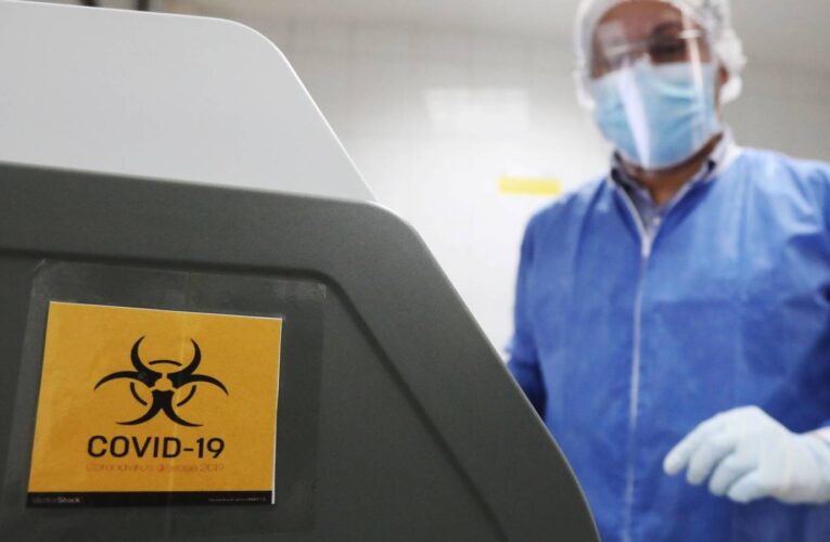 Japón descubre una tercera mutación del virus