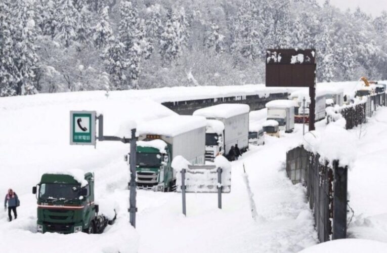 8 muertos y 240 heridos por tormenta de nieve en Japón