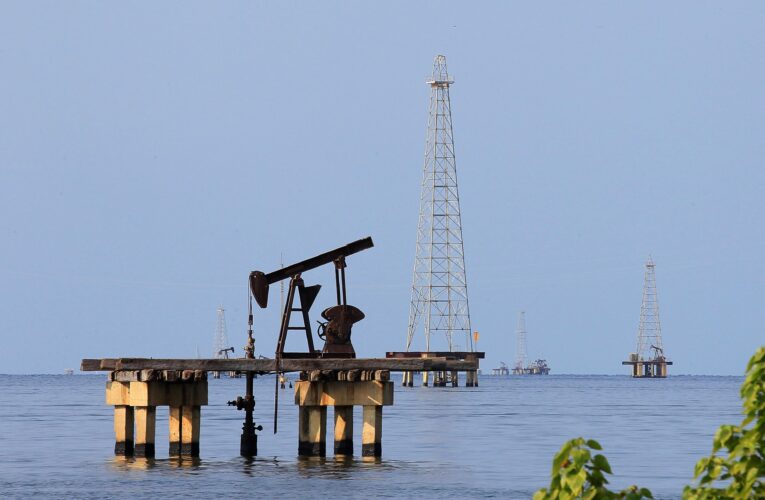 Pdvsa busca empresas privadas operar campos petroleros