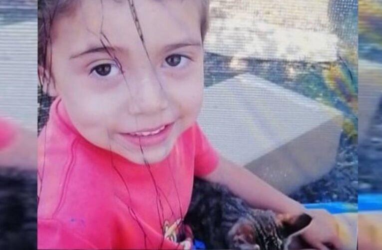 Conmoción en Chile: Hallan cadáver del niño Tomás Bravo