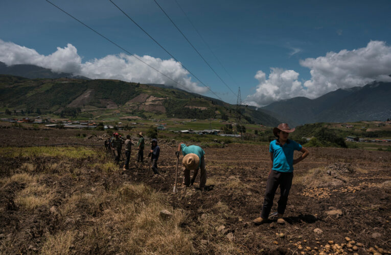 Fedeagro: Venezuela no produce lo que consume