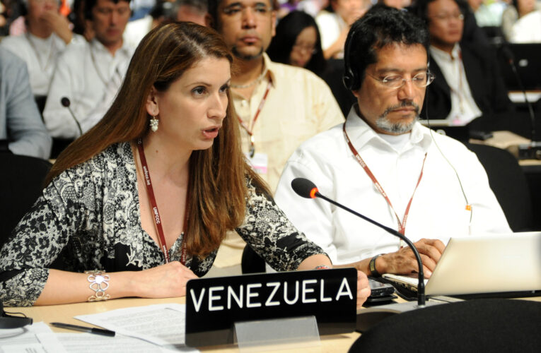 UE declara non grata a embajadora de Venezuela