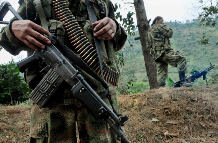 6 muertos en refriega entre Ejército y FARC en Amazonas