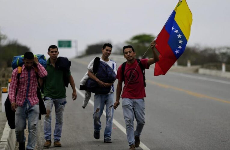 Acnur: Diáspora venezolana se acerca a 6 millones