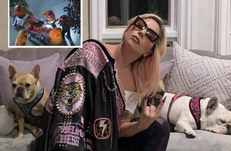 Recuperan los dos perros robados a Lady Gaga