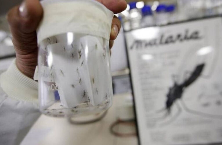 53% de los casos de malaria en el continente se registran en el país