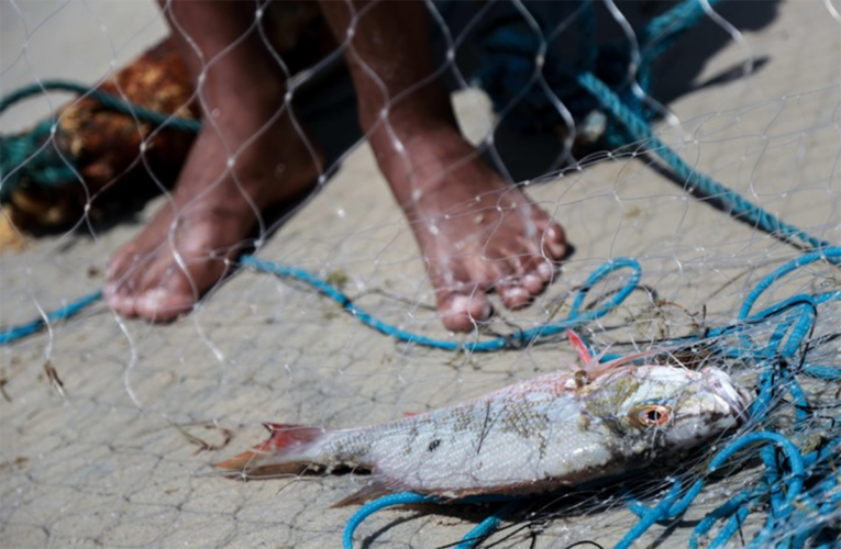 Acusan a 15 venezolanos de pesca ilegal en Brasil