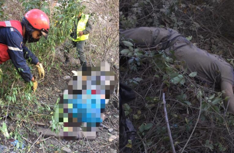 2 muertos al caer gandola con harina Doña Goya por un barranco en la autopista