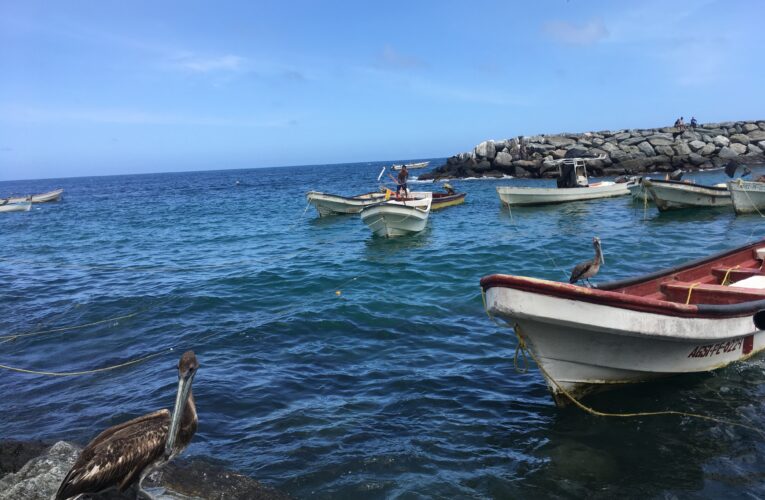 Pescadores de Macuto repararán 19 lanchas accidentadas